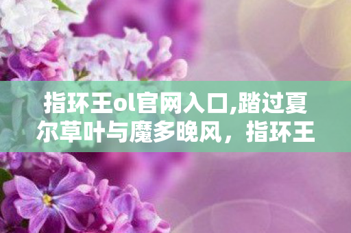 指环王ol官网入口,踏过夏尔草叶与魔多晚风，指环王OL的中土漫游旧时光
