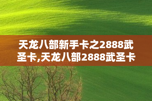 天龙八部新手卡之2888武圣卡,天龙八部2888武圣卡福利盘点，助力新手轻松闯荡武侠江湖