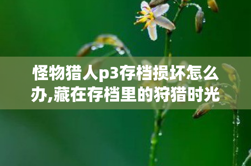 怪物猎人p3存档损坏怎么办,藏在存档里的狩猎时光，怪物猎人P3的专属青春印记