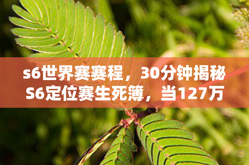 s6世界赛赛程,30分钟揭秘S6定位赛生死簿,当127万账号在凌晨3点集体猝死 s6世界赛赛程,30分钟揭秘S6定位赛生死簿,当127万账号在凌晨3点集体猝死