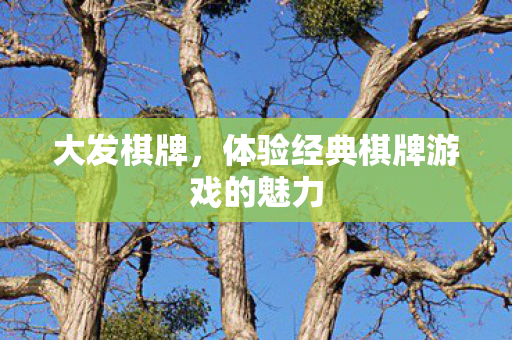 体验经典棋牌游戏的魅力图片
