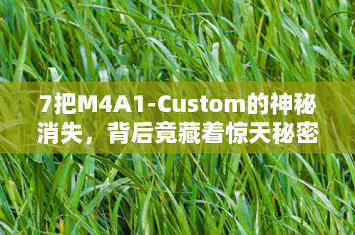 7把M4A1-Custom的神秘消失,背后竟藏着惊天秘密? 7把M4A1-Custom的神秘消失,背后竟藏着惊天秘密?