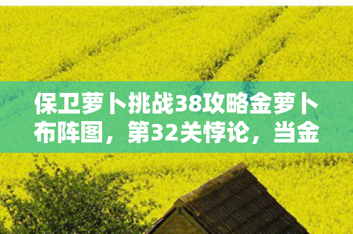 保卫萝卜挑战38攻略金萝卜布阵图,第32关悖论,当金萝卜布阵图撕裂自由意志的虚妄 保卫萝卜挑战38攻略金萝卜布阵图,第32关悖论,当金萝卜布阵图撕裂自由意志的虚妄