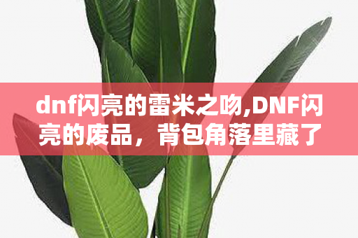 dnf闪亮的雷米之吻,DNF闪亮的废品,背包角落里藏了十年的阿拉德旧信物 dnf闪亮的雷米之吻,DNF闪亮的废品,背包角落里藏了十年的阿拉德旧信物