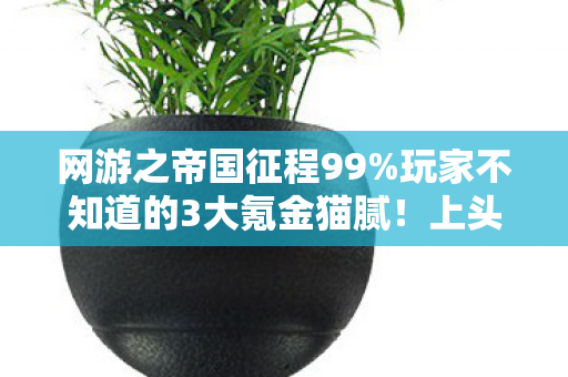 网游之帝国征程99%玩家不知道的3大氪金猫腻！上头到想摔键盘