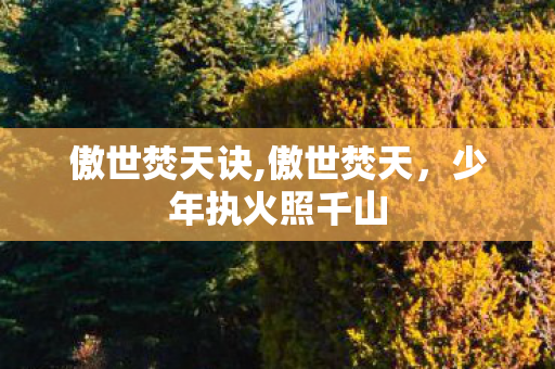 傲世焚天诀,傲世焚天,少年执火照千山 傲世焚天诀,傲世焚天,少年执火照千山