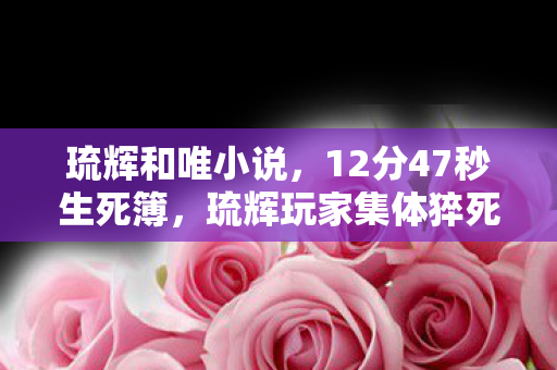 琉辉和唯小说,12分47秒生死簿,琉辉玩家集体猝死事件簿,最后3秒泪目真相 琉辉和唯小说,12分47秒生死簿,琉辉玩家集体猝死事件簿,最后3秒泪目真相
