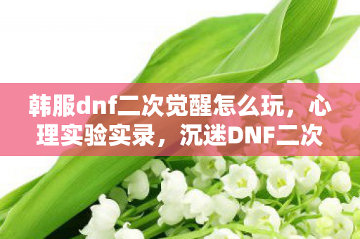韩服dnf二次觉醒怎么玩，心理实验实录，沉迷DNF二次觉醒的细思极恐自我解构