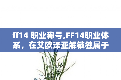 ff14 职业称号,FF14职业体系,在艾欧泽亚解锁独属于你的冒险姿态 ff14 职业称号,FF14职业体系,在艾欧泽亚解锁独属于你的冒险姿态