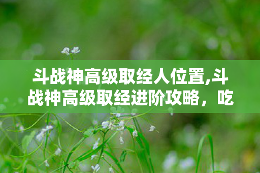 斗战神高级取经人位置,斗战神高级取经进阶攻略，吃透机制 全程顺滑收益翻倍