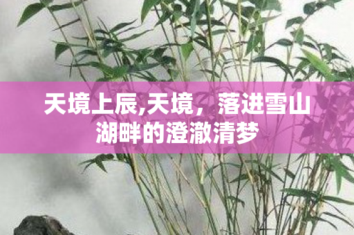天境上辰,天境,落进雪山湖畔的澄澈清梦 天境上辰,天境,落进雪山湖畔的澄澈清梦