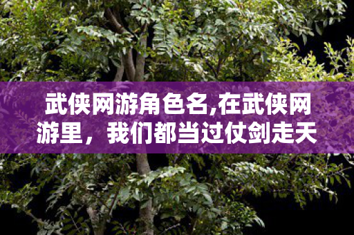 武侠网游角色名,在武侠网游里,我们都当过仗剑走天涯的少年 武侠网游角色名,在武侠网游里,我们都当过仗剑走天涯的少年