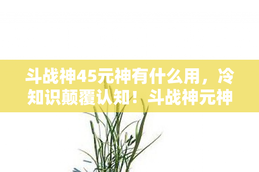 斗战神45元神有什么用,冷知识颠覆认知!斗战神元神竟藏着目瞪口呆的隐藏开关 斗战神45元神有什么用,冷知识颠覆认知!斗战神元神竟藏着目瞪口呆的隐藏开关