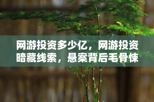 网游投资多少亿，网游投资暗藏线索，悬案背后毛骨悚然，困兽十年之谜
