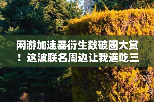 网游加速器衍生数破圈大赏!这波联名周边让我连吃三个月土都值了! 网游加速器衍生数破圈大赏!这波联名周边让我连吃三个月土都值了!