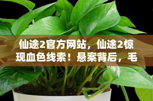 仙途2官方网站,仙途2惊现血色线索!悬案背后,毛骨悚然十年困局真相 仙途2官方网站,仙途2惊现血色线索!悬案背后,毛骨悚然十年困局真相