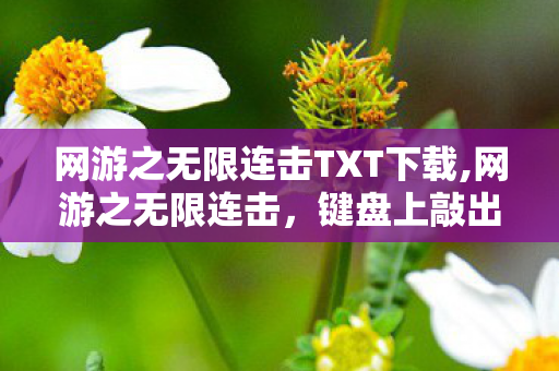 网游之无限连击TXT下载,网游之无限连击,键盘上敲出的专属传奇 网游之无限连击TXT下载,网游之无限连击,键盘上敲出的专属传奇