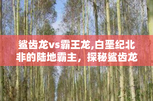 鲨齿龙vs霸王龙,白垩纪北非的陆地霸主,探秘鲨齿龙的远古传奇 鲨齿龙vs霸王龙,白垩纪北非的陆地霸主,探秘鲨齿龙的远古传奇