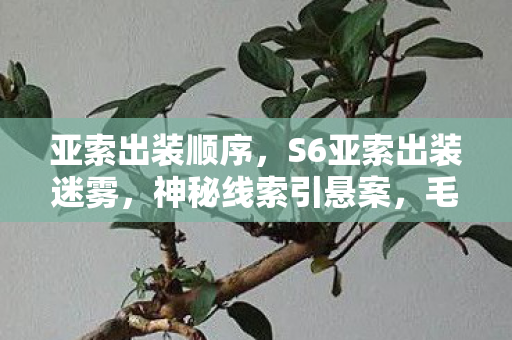 亚索出装顺序,S6亚索出装迷雾,神秘线索引悬案,毛骨悚然真相待揭! 亚索出装顺序,S6亚索出装迷雾,神秘线索引悬案,毛骨悚然真相待揭!