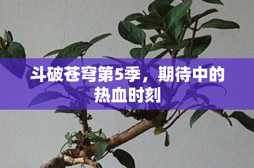 期待中的热血时刻图片