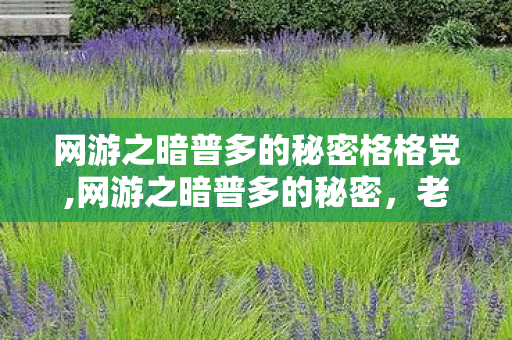 网游之暗普多的秘密格格党,网游之暗普多的秘密,老玩家才懂的专属浪漫 网游之暗普多的秘密格格党,网游之暗普多的秘密,老玩家才懂的专属浪漫