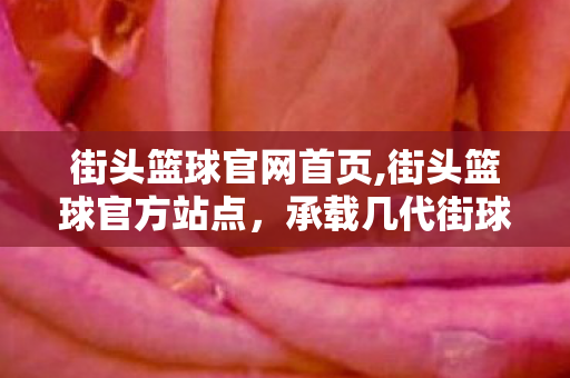 街头篮球官网首页,街头篮球官方站点,承载几代街球爱好者青春的专属阵地 街头篮球官网首页,街头篮球官方站点,承载几代街球爱好者青春的专属阵地