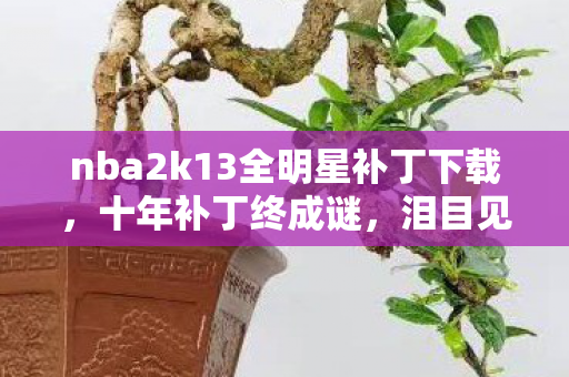 nba2k13全明星补丁下载,十年补丁终成谜,泪目见证NBA2K13的黄昏谢幕 nba2k13全明星补丁下载,十年补丁终成谜,泪目见证NBA2K13的黄昏谢幕