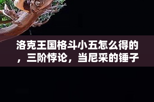 洛克王国格斗小五怎么得的,三阶悖论,当尼采的锤子砸碎洛克王国的自由幻境 洛克王国格斗小五怎么得的,三阶悖论,当尼采的锤子砸碎洛克王国的自由幻境