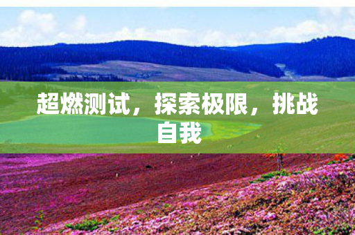超燃测试图片