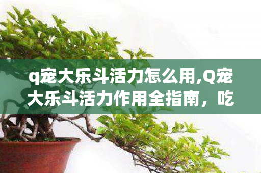 q宠大乐斗活力怎么用,Q宠大乐斗活力作用全指南,吃透规则轻松提升战力 q宠大乐斗活力怎么用,Q宠大乐斗活力作用全指南,吃透规则轻松提升战力