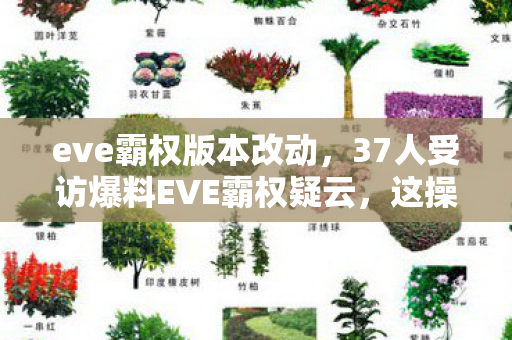 eve霸权版本改动,37人受访爆料EVE霸权疑云,这操作谁绷得住啊?! eve霸权版本改动,37人受访爆料EVE霸权疑云,这操作谁绷得住啊?!