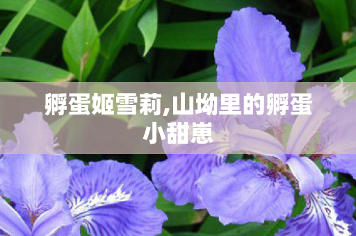 孵蛋姬雪莉,山坳里的孵蛋小甜崽 孵蛋姬雪莉,山坳里的孵蛋小甜崽