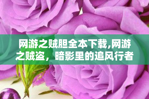 网游之贼胆全本下载,网游之贼盗,暗影里的追风行者 网游之贼胆全本下载,网游之贼盗,暗影里的追风行者