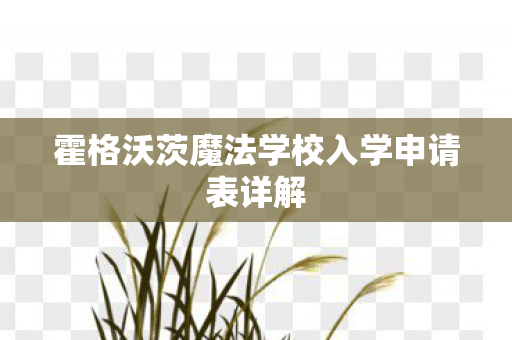 霍格沃茨魔法学校入学申请表详解图片
