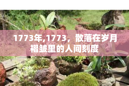 1773年,1773,散落在岁月褶皱里的人间刻度 1773年,1773,散落在岁月褶皱里的人间刻度