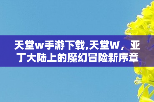 天堂w手游下载,天堂W,亚丁大陆上的魔幻冒险新序章 天堂w手游下载,天堂W,亚丁大陆上的魔幻冒险新序章