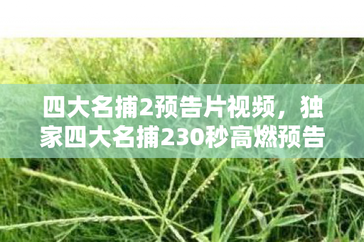 四大名捕2预告片视频,独家四大名捕230秒高燃预告!99%玩家直呼肾上腺素飙升的三大真相 四大名捕2预告片视频,独家四大名捕230秒高燃预告!99%玩家直呼肾上腺素飙升的三大真相
