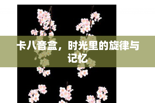 时光里的旋律与记忆图片