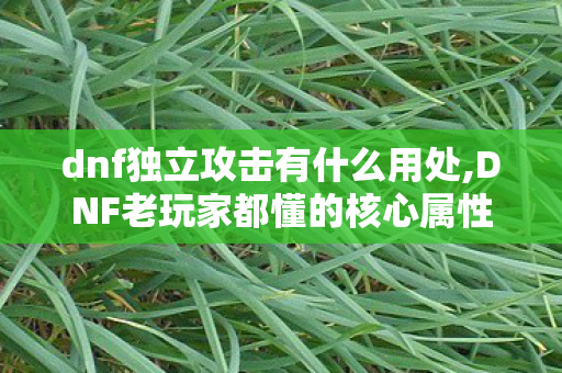 dnf独立攻击有什么用处,DNF老玩家都懂的核心属性,独立攻击的实战价值全解析 dnf独立攻击有什么用处,DNF老玩家都懂的核心属性,独立攻击的实战价值全解析