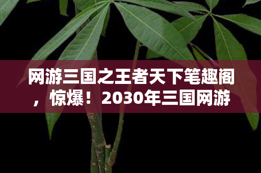 网游三国之王者天下笔趣阁,惊爆!2030年三国网游竟藏惊天秘密,谁能登顶王者? 网游三国之王者天下笔趣阁,惊爆!2030年三国网游竟藏惊天秘密,谁能登顶王者?