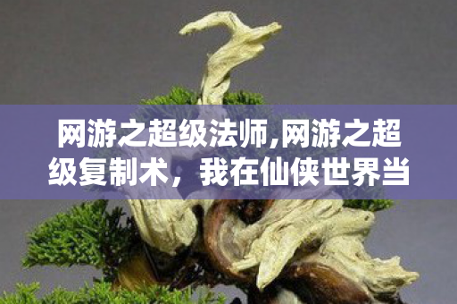 网游之超级法师,网游之超级复制术,我在仙侠世界当专属buff大师 网游之超级法师,网游之超级复制术,我在仙侠世界当专属buff大师