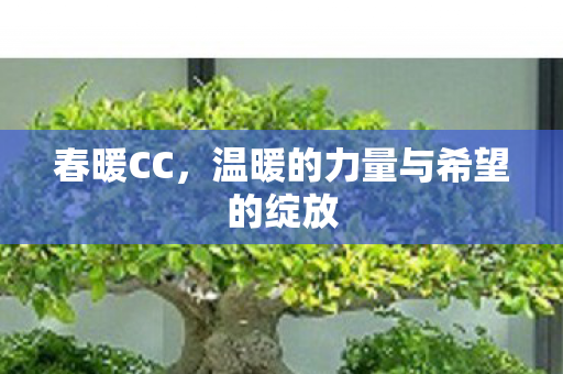 温暖的力量与希望的绽放图片