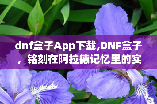 dnf盒子App下载,DNF盒子,铭刻在阿拉德记忆里的实用老伙伴 dnf盒子App下载,DNF盒子,铭刻在阿拉德记忆里的实用老伙伴