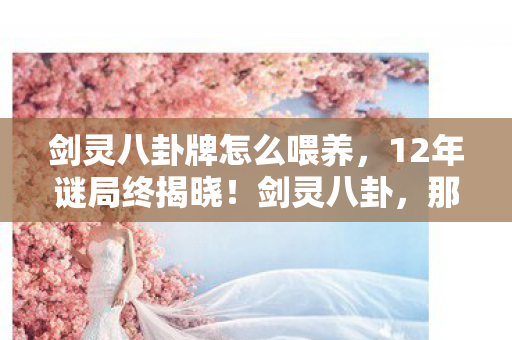 剑灵八卦牌怎么喂养,12年谜局终揭晓!剑灵八卦,那些被时光掩埋的泪目真相 剑灵八卦牌怎么喂养,12年谜局终揭晓!剑灵八卦,那些被时光掩埋的泪目真相