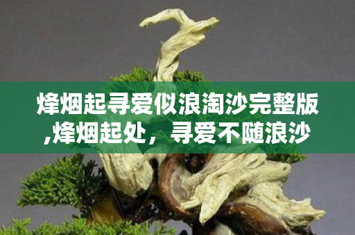 烽烟起寻爱似浪淘沙完整版,烽烟起处,寻爱不随浪沙去 烽烟起寻爱似浪淘沙完整版,烽烟起处,寻爱不随浪沙去