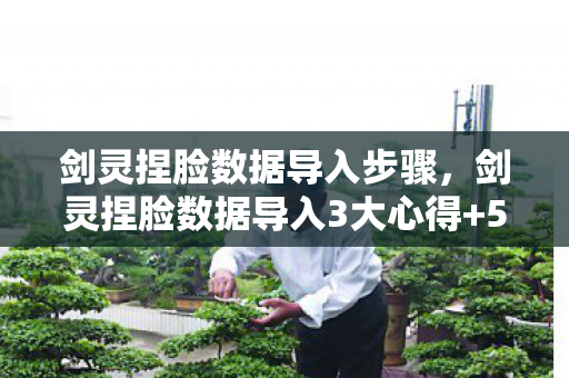 剑灵捏脸数据导入步骤,剑灵捏脸数据导入3大心得+5个避坑指南,助你打造绝美角色! 剑灵捏脸数据导入步骤,剑灵捏脸数据导入3大心得+5个避坑指南,助你打造绝美角色!