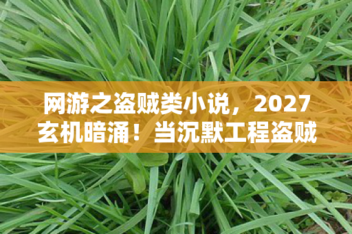 网游之盗贼类小说,2027玄机暗涌!当沉默工程盗贼撕开虚拟世界的真相 网游之盗贼类小说,2027玄机暗涌!当沉默工程盗贼撕开虚拟世界的真相