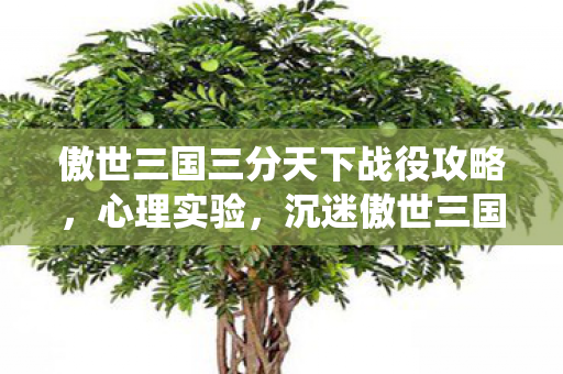 傲世三国三分天下战役攻略,心理实验,沉迷傲世三国之三分天下六年,细思极恐的自我异化 傲世三国三分天下战役攻略,心理实验,沉迷傲世三国之三分天下六年,细思极恐的自我异化