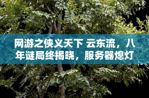 网游之侠义天下 云东流,八年谜局终揭晓,服务器熄灯时泪目 网游之侠义天下 云东流,八年谜局终揭晓,服务器熄灯时泪目
