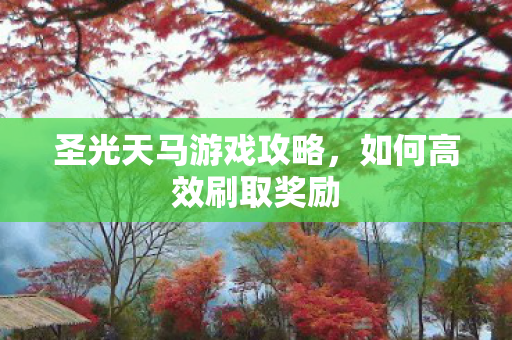 圣光天马游戏攻略图片
